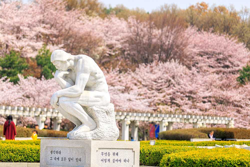 炫耀心理：富足生活背后家庭教育的典型失败案例“北极鲶鱼”