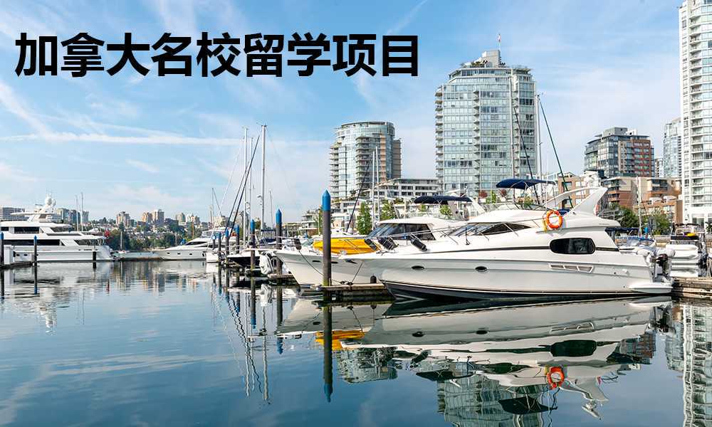 成绩之外， 体育活动是进入美国名校的第二大标准