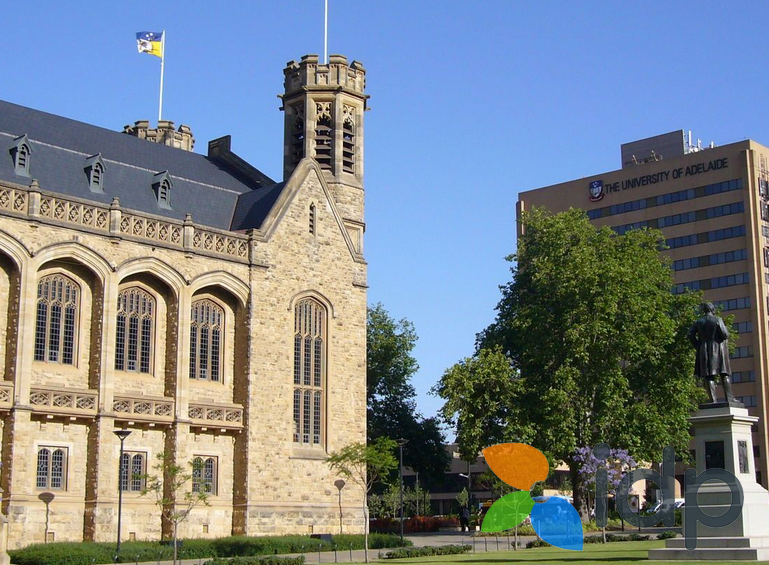 如果已经有一个硕士学位，25fall是读二硕还是读博才不会亏？