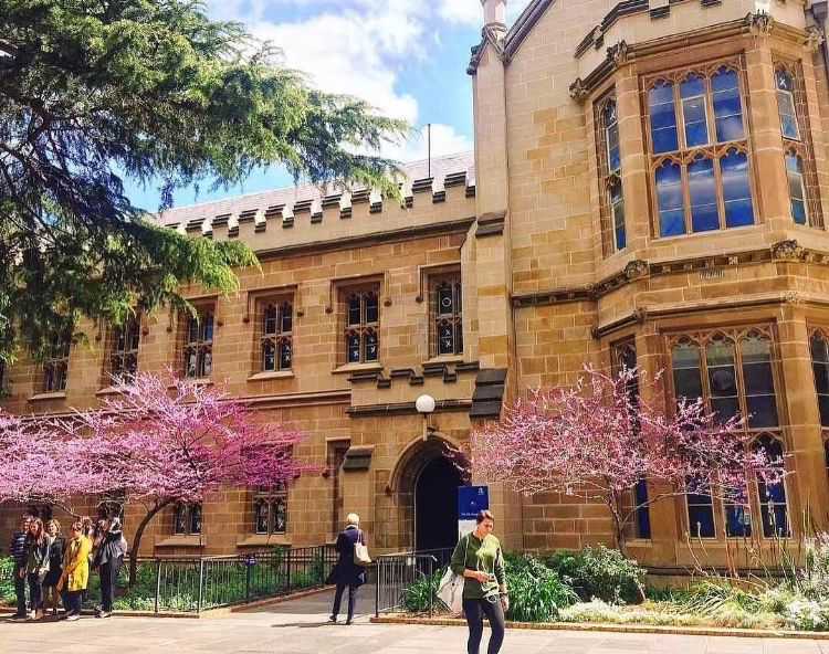 都说法国一战中打光了一代人导致二战无力再战，但德国不一样吗？